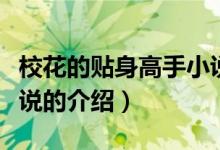 ?；ǖ馁N身高手小說（關(guān)于?；ǖ馁N身高手小說的介紹）