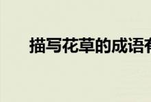 描寫花草的成語有（描寫花草的成語）