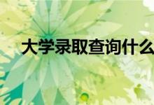 大學(xué)錄取查詢什么時(shí)候可以查（在哪查）