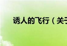 誘人的飛行（關于誘人的飛行的介紹）