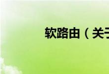 軟路由（關于軟路由的介紹）