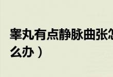 睪丸有點(diǎn)靜脈曲張?jiān)趺崔k（睪丸的靜脈曲張?jiān)趺崔k）