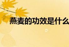 燕麥的功效是什么（燕麥的功效是什么）