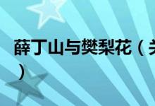 薛丁山與樊梨花（關(guān)于薛丁山與樊梨花的介紹）