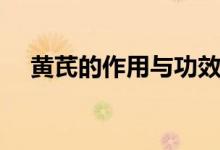 黃芪的作用與功效（桂枝的作用與功效）
