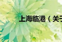 上海臨港（關于上海臨港的介紹）