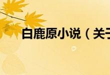 白鹿原小說(shuō)（關(guān)于白鹿原小說(shuō)的介紹）