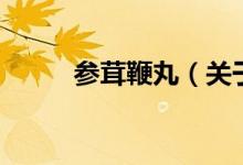 參茸鞭丸(關(guān)于參茸鞭丸的介紹)
