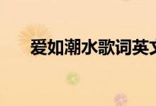 愛如潮水歌詞英文版（愛如潮水歌詞）