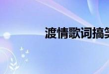 渡情歌詞搞笑版（渡情歌詞）