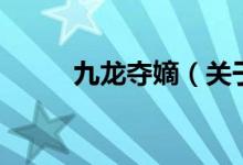 九龍奪嫡（關(guān)于九龍奪嫡的介紹）