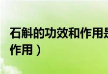 石斛的功效和作用是什么樣的（石斛的功效和作用）