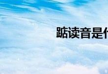 踮讀音是什么（踮讀音）