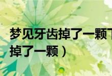 夢見牙齒掉了一顆下牙是什么征兆（夢見牙齒掉了一顆）