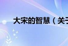 大宋的智慧（關(guān)于大宋的智慧的介紹）