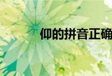 仰的拼音正確寫法（仰的拼音）