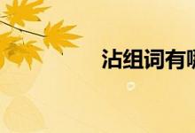 沾組詞有哪些（沾組詞）