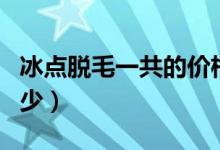 冰點脫毛一共的價格多少（冰點脫毛價位是多少）