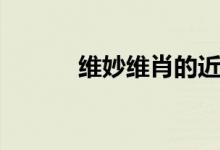 維妙維肖的近義詞（維妙維肖）