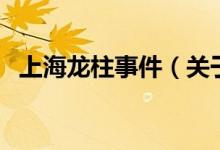 上海龍柱事件（關于上海龍柱事件的介紹）