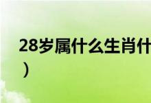 28歲屬什么生肖什么星座（28歲屬什么生肖）