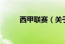 西甲聯(lián)賽（關(guān)于西甲聯(lián)賽的介紹）