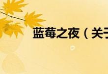 藍(lán)莓之夜（關(guān)于藍(lán)莓之夜的介紹）