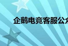 企鵝電競客服公眾號(hào)（企鵝電競客服）