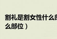 割禮是割女性什么部位視頻（割禮是割女性什么部位）