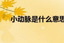 小動脈是什么意思（XDM是什么意思）