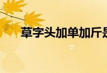 草字頭加單加斤是什么（草字頭加凡）