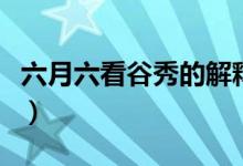 六月六看谷秀的解釋（六月六看谷秀什么意思）