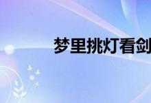 夢(mèng)里挑燈看劍（夢(mèng)里挑燈看劍）