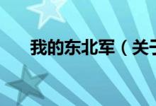 我的東北軍（關于我的東北軍的介紹）