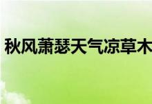 秋風(fēng)蕭瑟天氣涼草木搖落露為霜（秋風(fēng)蕭瑟）