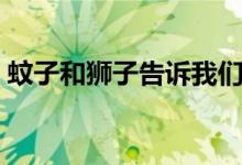蚊子和獅子告訴我們什么道理（蚊子和獅子）