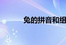 兔的拼音和組詞語（兔的拼音）