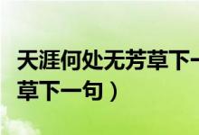 天涯何處無(wú)芳草下一句是什么（天涯何處無(wú)芳草下一句）