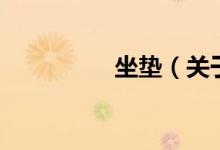 坐墊（關于坐墊的介紹）