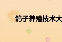 鴿子養(yǎng)殖技術(shù)大全（鴿子養(yǎng)殖技術(shù)）