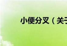 小便分叉（關(guān)于小便分叉的介紹）