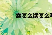 囊怎么讀怎么寫筆順（囊怎么讀）