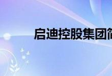 啟迪控股集團(tuán)簡介（啟迪的意思）