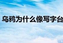 烏鴉為什么像寫字臺(tái)（烏鴉為什么像寫字臺(tái)）