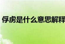 俘虜是什么意思解釋一下（俘虜是什么意思）