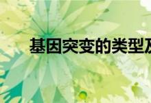 基因突變的類(lèi)型及特點(diǎn)（有哪些后果）