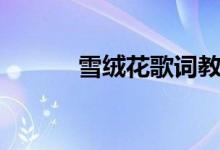雪絨花歌詞教唱（雪絨花歌詞）