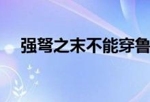 強(qiáng)弩之末不能穿魯縞啥意思（強(qiáng)弩之末）