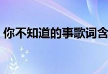 你不知道的事歌詞含義（你不知道的事歌詞）