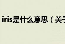 iris是什么意思（關(guān)于iris是什么意思的介紹）
